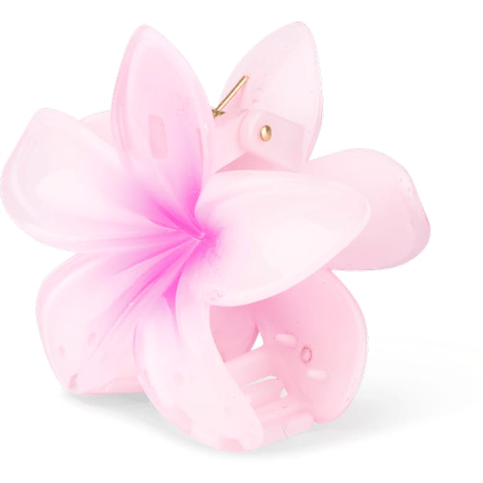 Sui Ava Plumeria Hawaii Big Pink 1 st