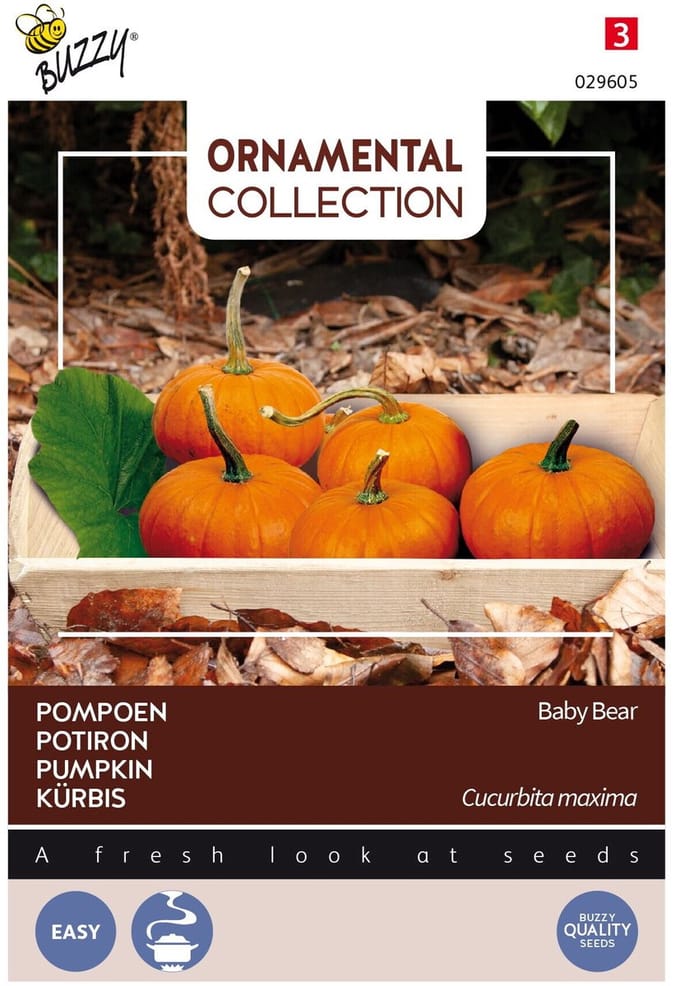 Buzzy Ornamental - Wintersquash Baby Bear