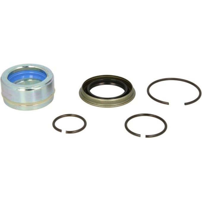 Reparatieset, kantelcilinder DT Spare Parts 1.32317