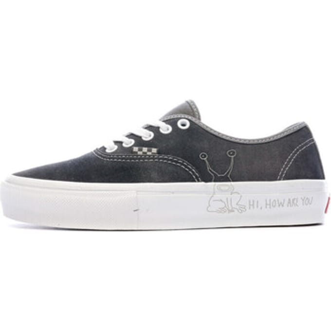 Sneakers Vans Baskets Skate Authentic daim
