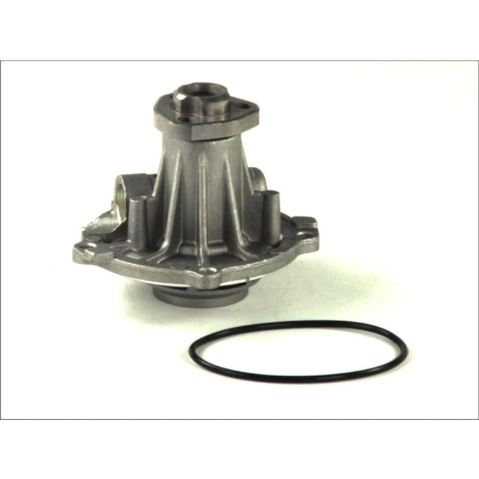 Waterpomp THERMOTEC D1W026TT
