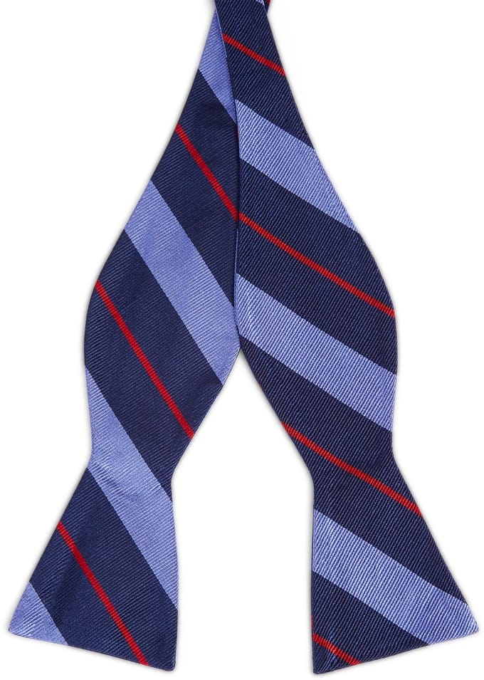 Marineblauwe Zijden Zelfbinder Vlinderdas met Pastelblauwe & Rode Accenten