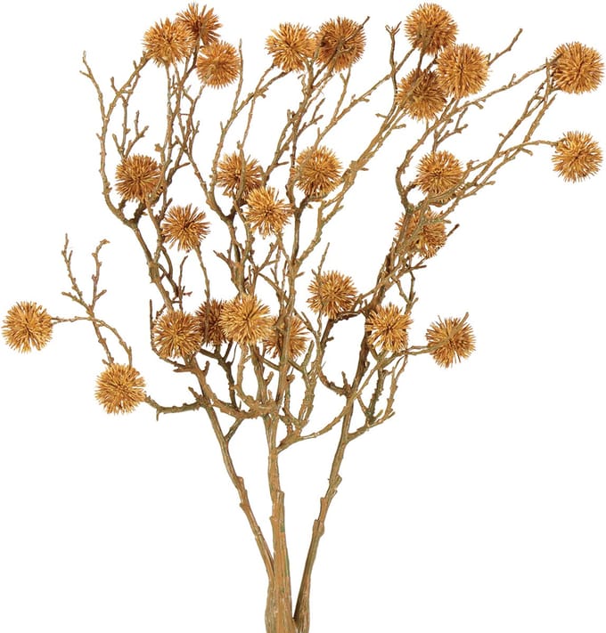 Decoratieve tak van amberboom, boomvruchten, decoratief okerbruin, 48c