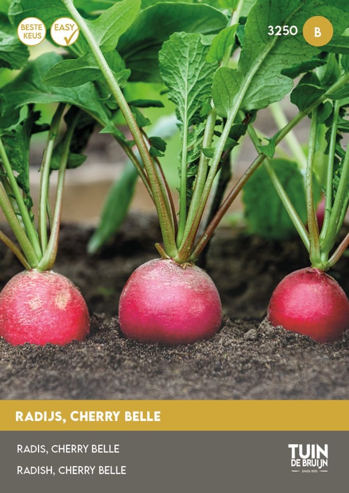 Tuin de Bruijn Radijs Cherry Belle – 5 g – Snelgroeiend