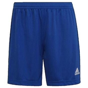 adidas Performance Entrada 22 Short - Dames - Blauw - S