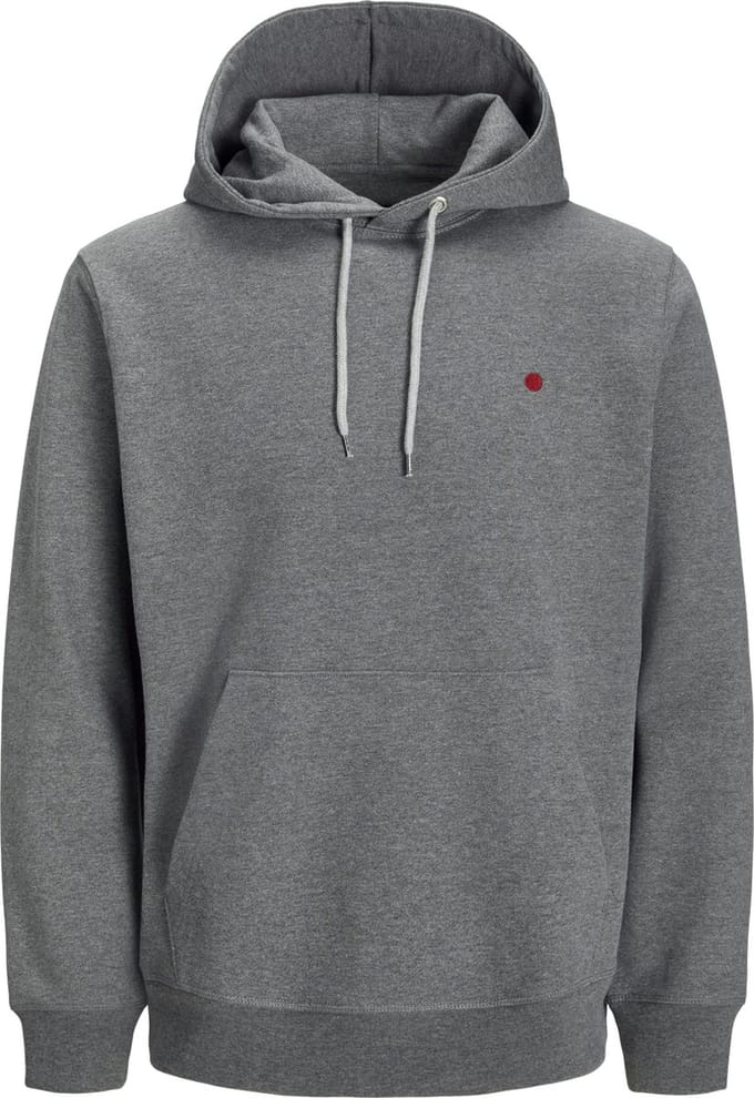 JACK&JONES - RDDKALID HOOD SWEAT L/S NOOS - Heren - Sweaters