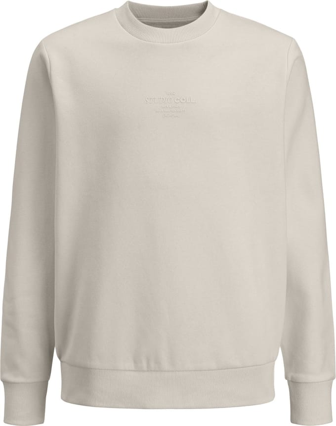 JACK&JONES - JJJIN SWEAT CREW NECK JNR - Jongens - Sweaters