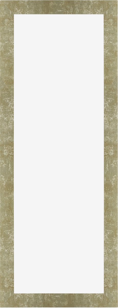 Fotolijst 20x60 cm - MDF - Goud Antiek - Marseille