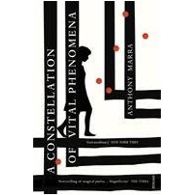 A Constellation Of Vital Phenomena - Anthony Marra