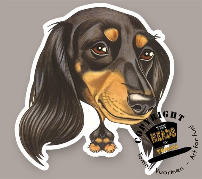 Magneet Hond Langharige Teckel