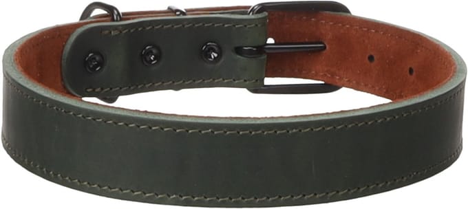 Hond Halsband Montana Groen XL 47,5-58cm 28mm