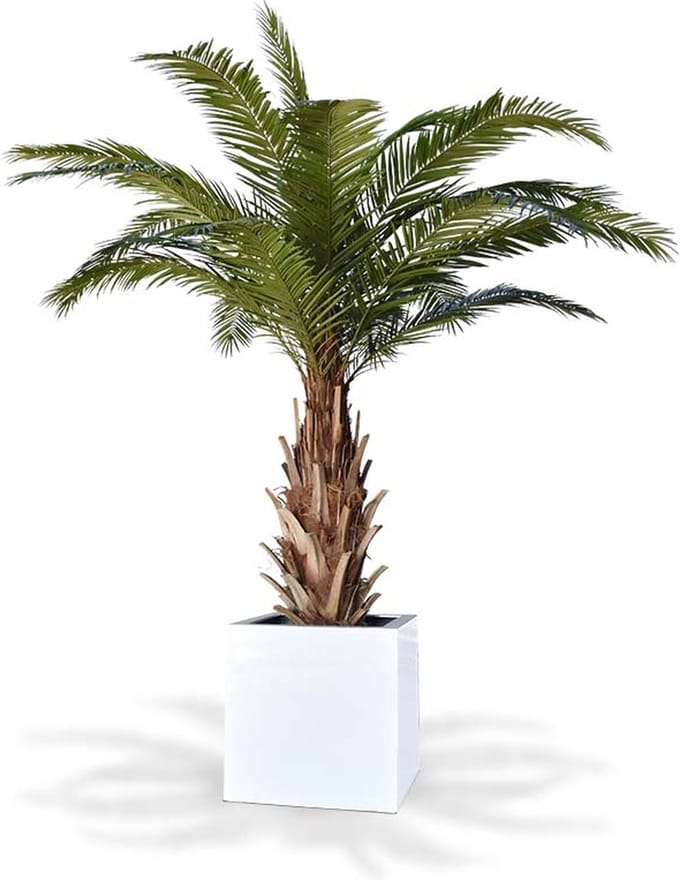 Phoenix Canarie kunstpalm XXL op voet 300cm