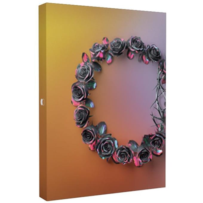 De Roos - DUAL (Luxe Boxalbum) Dawn Ver.