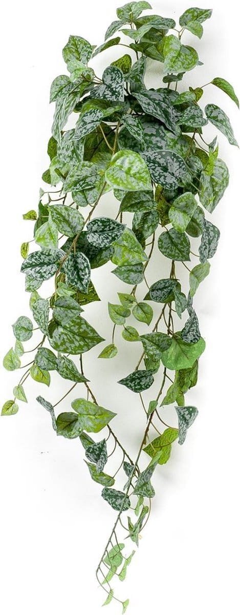 Scindapsus Pictus - kunstplant