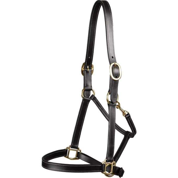 Halster voor paarden Premier Equine