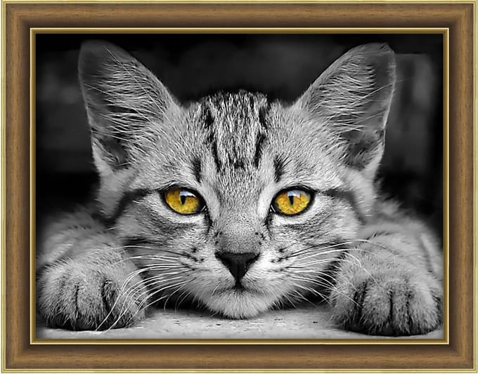 Diamond painting kit Yellow-Eyed Kitten 40x30