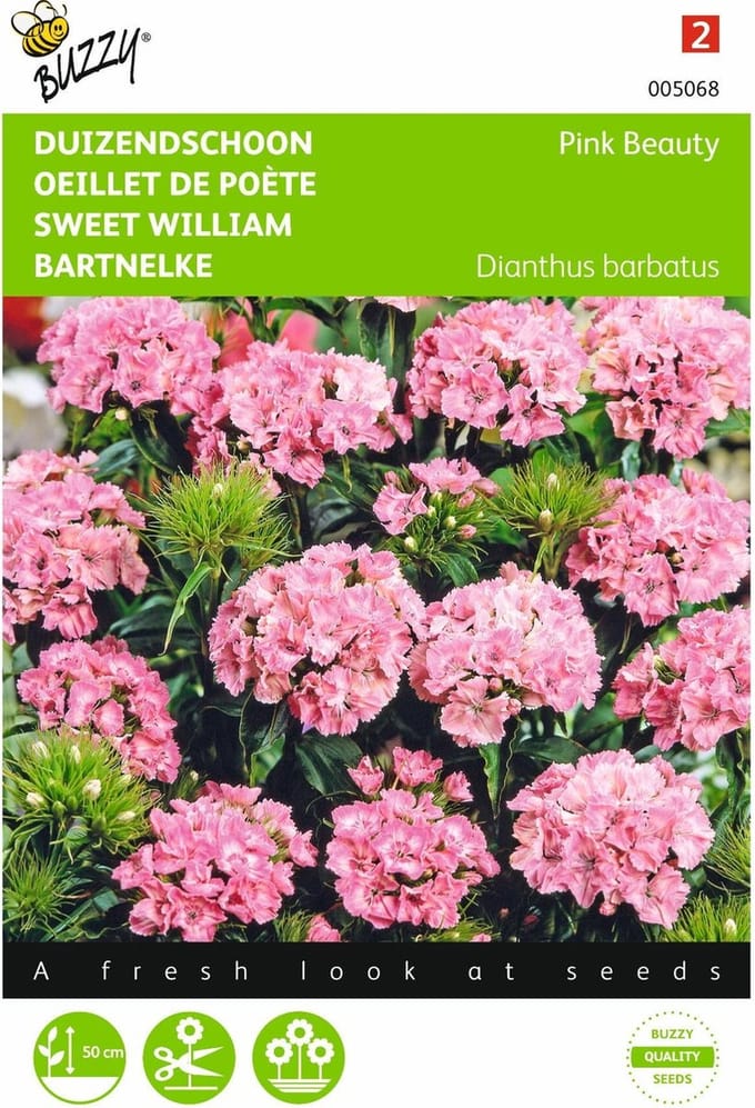 2 stuks Dianthus, Duizenschoon Pink Beauty