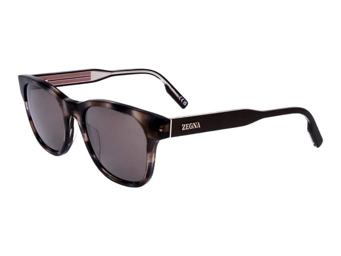 Ermenegildo Zegna EZ0222/S 20J Zonnebril - Heren - Bruin
