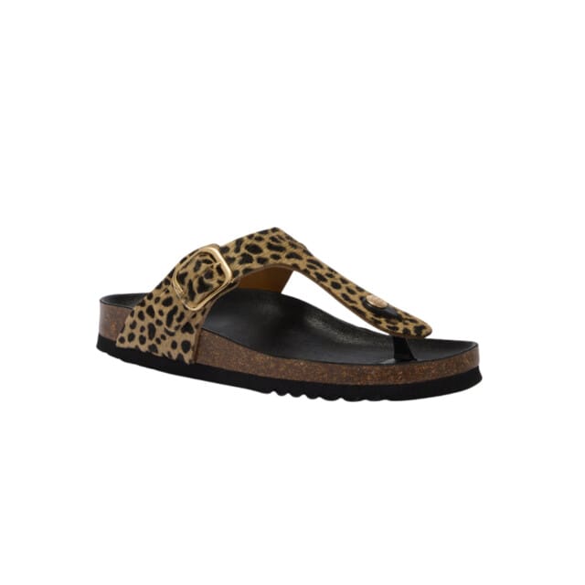 Scholl Anais Slippers Bruin F00629