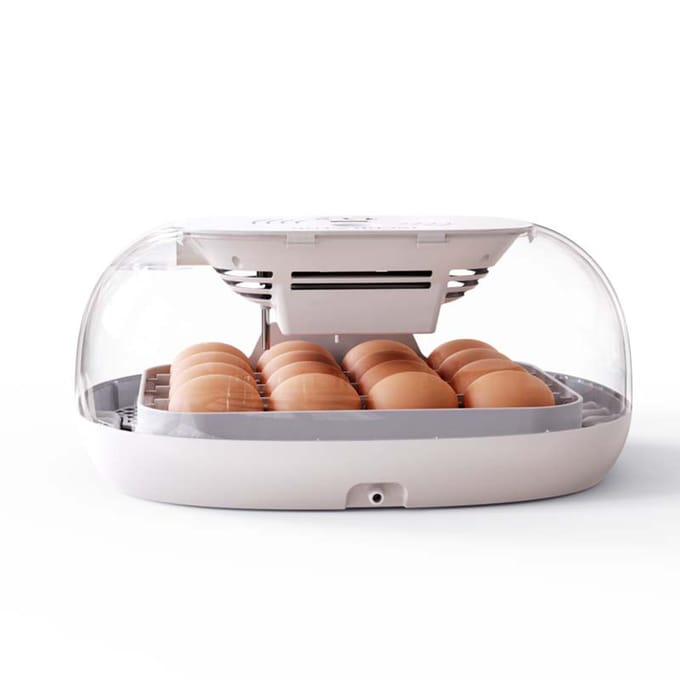 Incubateur pour œufs à couver, retournement automatique des œufs, plateau à œufs multifonctionnel, couvercle Transparent Model B (16 eggs)  AU Plug blanc