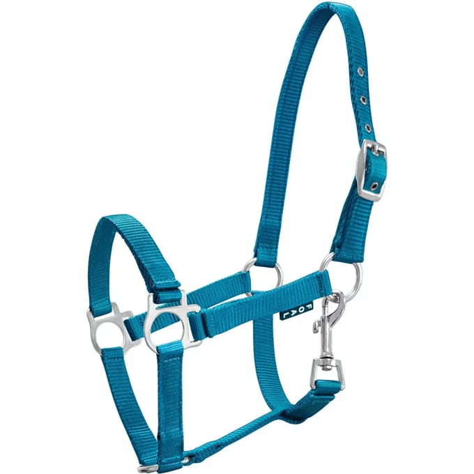 Halster voor paarden York