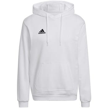 adidas Performance Entrada 22 Sweat Hoodie - Heren - Wit