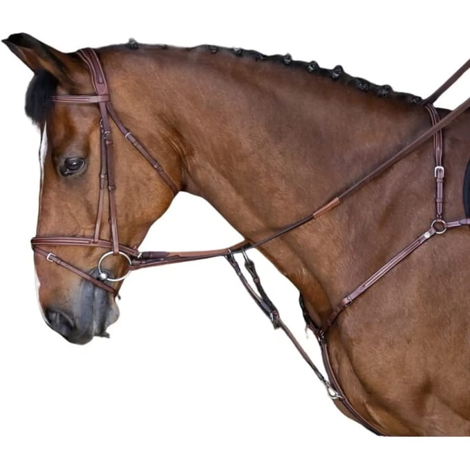Jachthalsband voor paarden Eric Thomas Hybrid