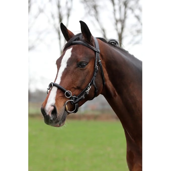 Horka Hoofdstel Kaptoom Leer 50/62 Cm Zwart/zilver (full)
