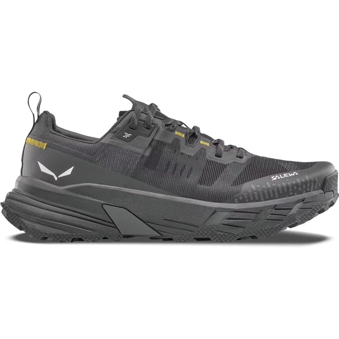 Wandelschoenen Salewa Pedroc 2 Max