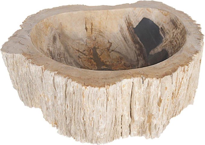 Differnz Fossil waskom 45x12cm hout CrÃ©me