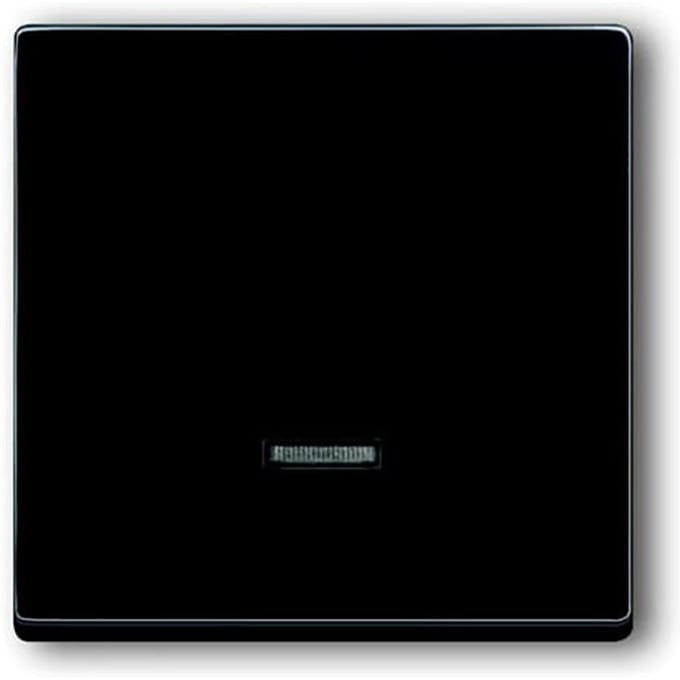 ABB Busch-Jaeger Schakelelement/Centrale Plaat - 2CKA006599A2881