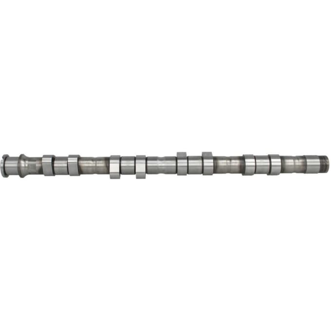 Nokkenas  AE CAM952