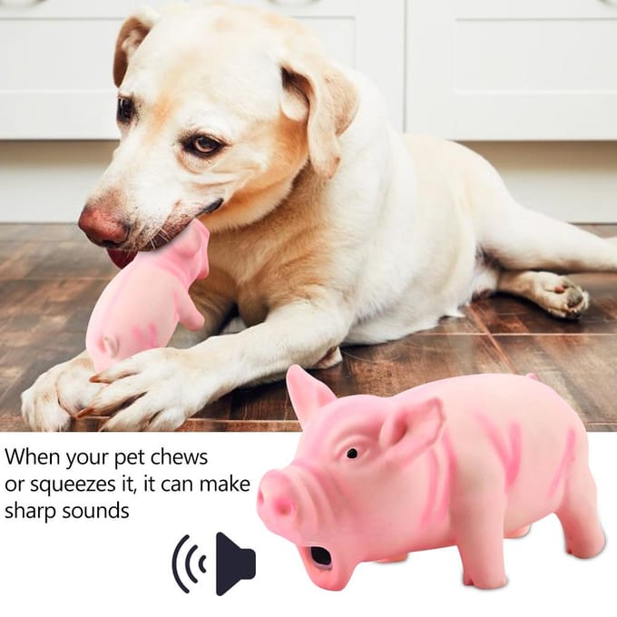 Schattige varken knorrende piep latex huisdier kauwspeeltjes voor hondenpuppy's(Roze) white