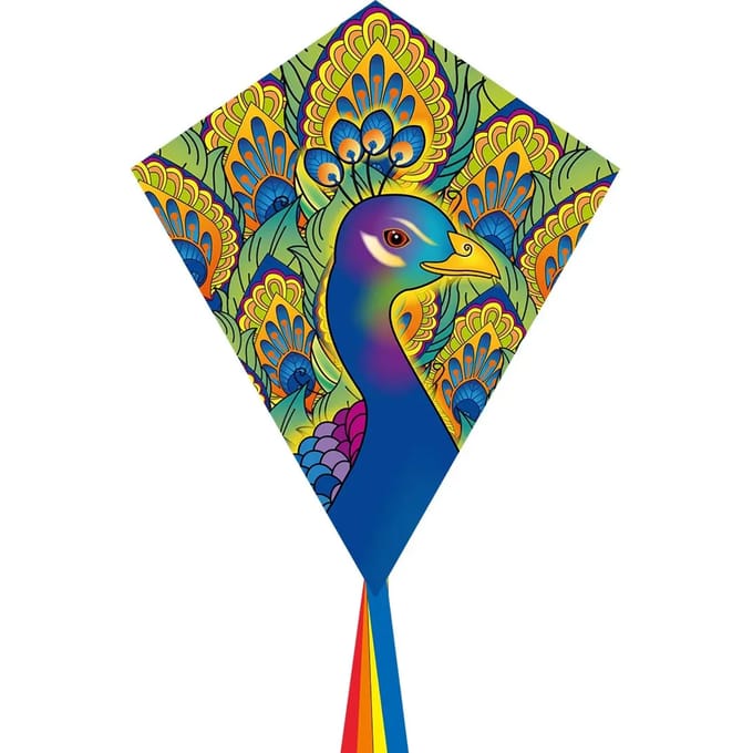 Ecoline Vlieger Eddy Peacock Spanwijdte 580 mm Geschikt voor windsterkte 2 - 5 bft