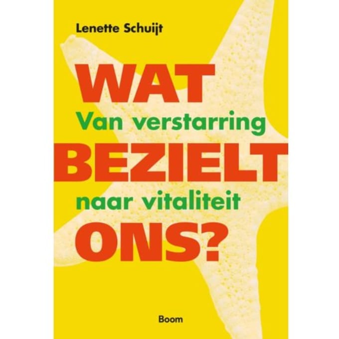 Wat Bezielt Ons? - Lenette Schuijt