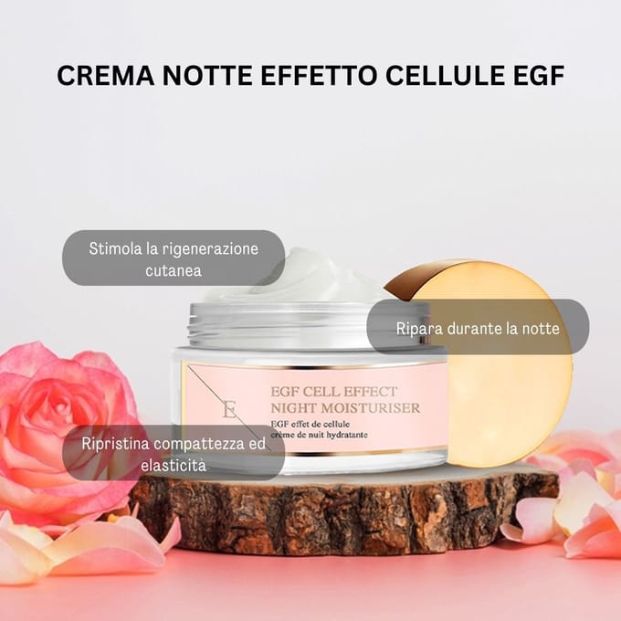 ErthSkin London EGF Cell Effect nachtcrème 50