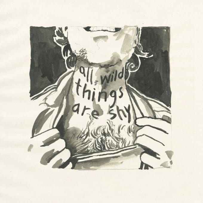 All Wild Things Are Shy - Richard Laviolette