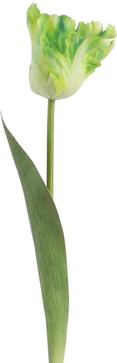 Clayre & Eef Kunstbloem Groen Kunststof