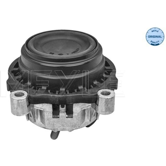 Motorsteun MEYLE 300 221 1165 Links