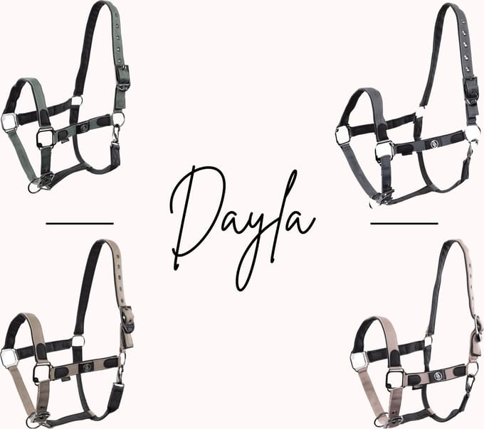 BR Halster Dayla Full Adobe Rose