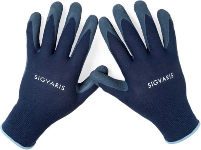 Proflebo Handschoenen