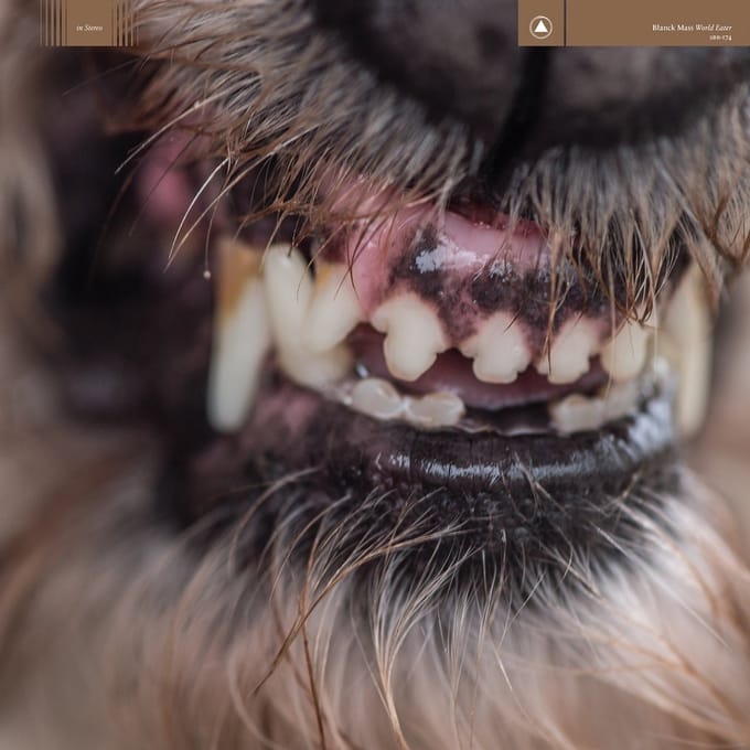 Blanck Mass - World Eater (LP) (Coloured Vinyl) (Limited Edition)