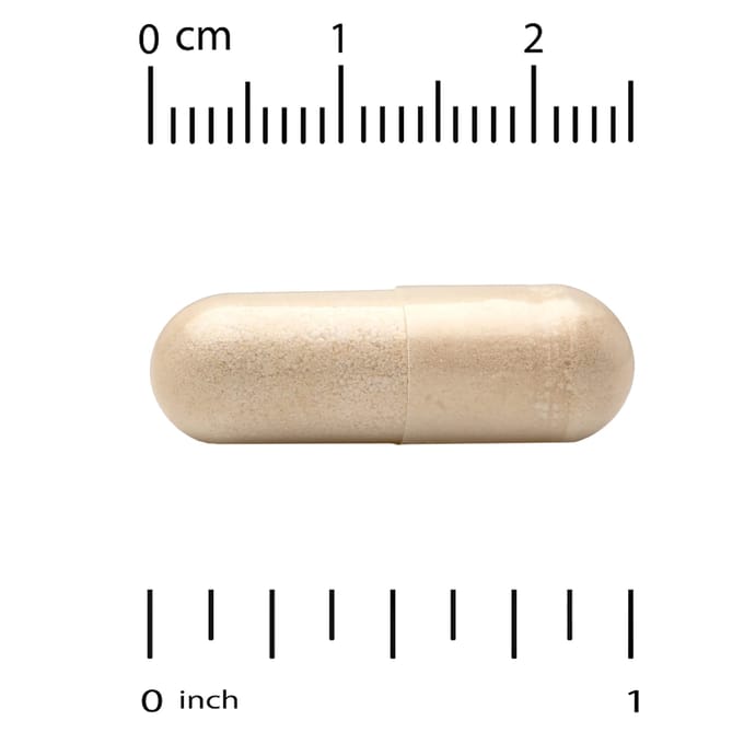 Super Nutrition, Soutien de la glycémie, 60 gélules végétales