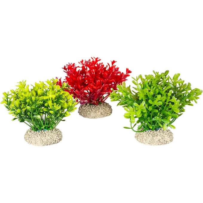 Aquarium planten decoratie Aqua Della Glosso