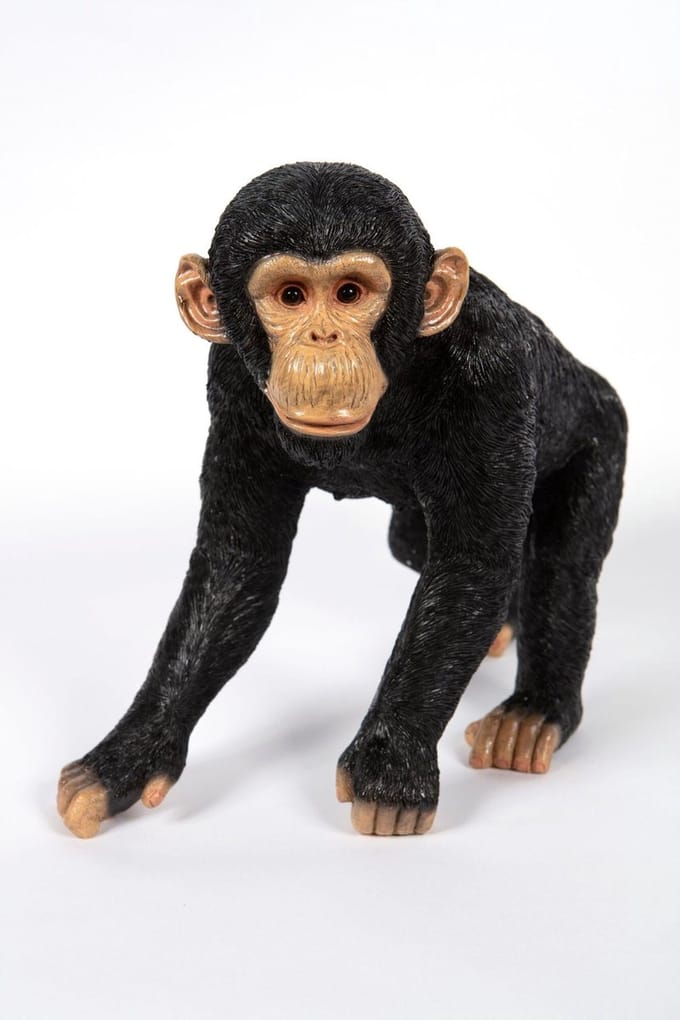 Wandelende chimpansee - Hamac - Tuinbeeld