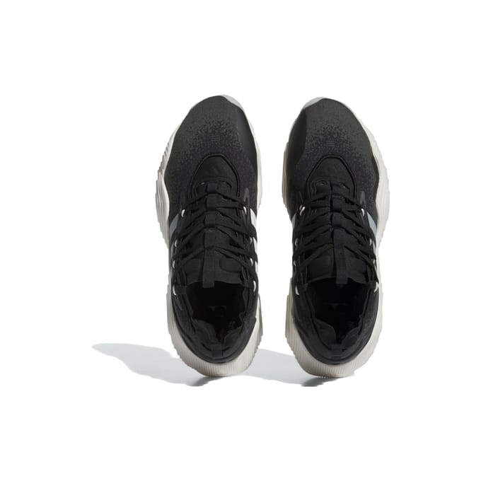 Trae Young 3 Core Zwart/wolkwit/carbon basketbalschoen voor heren