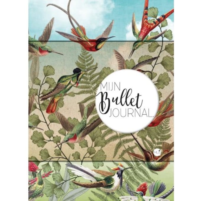 Mijn Bullet Journal / Kolibrie - Nicole Neven