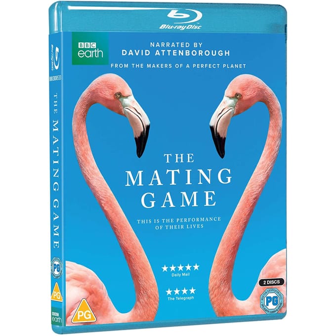 The Mating Game BD