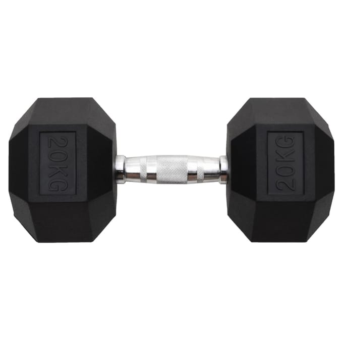 vidaXL - Halters - 20 - kg - gietijzer