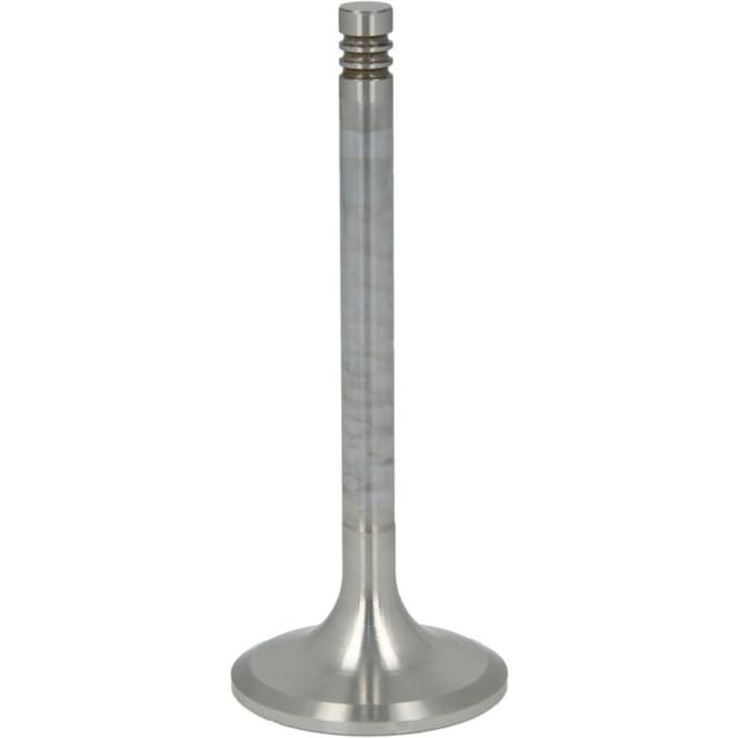 Inlaatklep TRW 27119